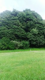 Scenic view of green landscape against sky