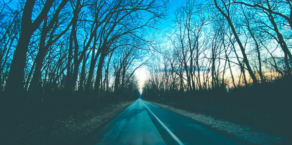 Empty road amidst trees in forest