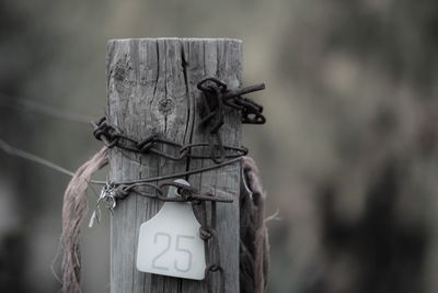 Close-up of wooden post