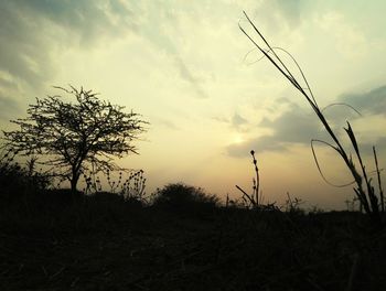 Low angle view of silhouette tree against sky