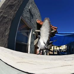 Low angle view of built structure