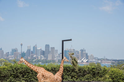 View of cityscape against sky