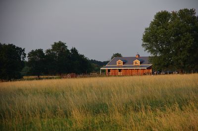 Scenic view of field against clear sky