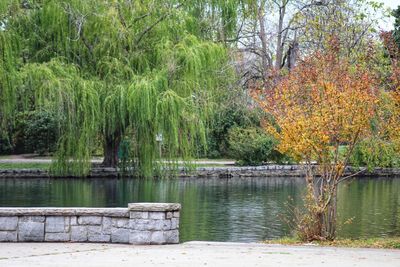 Scenic view of lake in forest during autumn