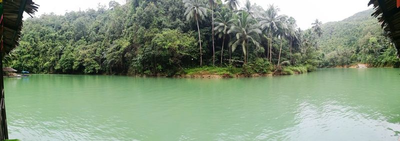 Scenic view of lake against trees