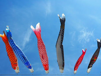 Carp streamer blowing in wind