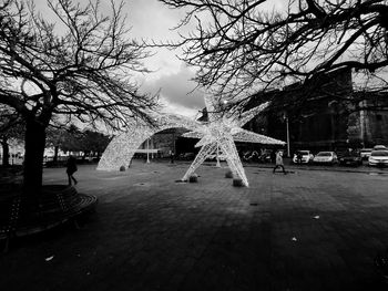 View of bare trees in park