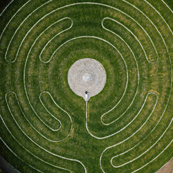 High angle view of green leaf on grass