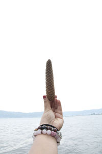 Cropped hand holding pine cone by sea against clear sky