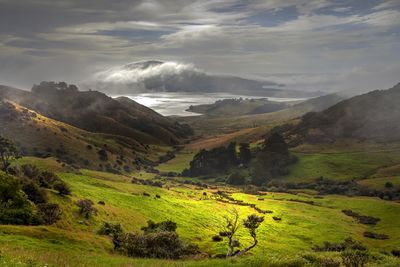 Scenic view of grassy field against cloudy sky