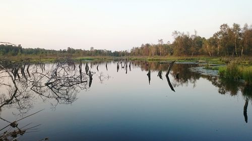 Scenic view of lake against clear sky