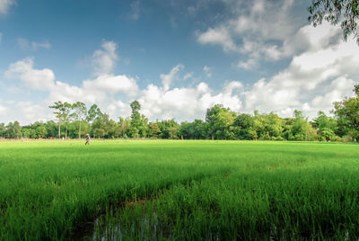 Scenic view of field against cloudy sky