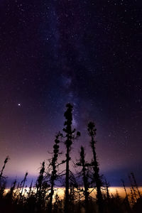 Low angle view of silhouette trees against sky at night