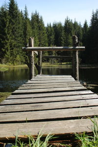 Wooden bridge over lake in forest