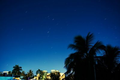 Low angle view of palm trees against blue sky