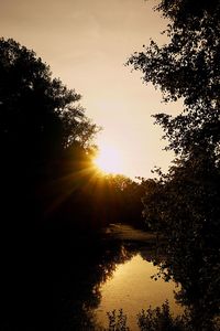 Silhouette trees by lake against sky during sunset