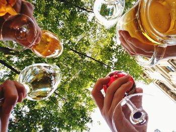 Low angle view of hands holding alcohol