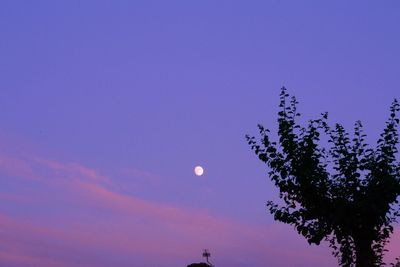 Low angle view of silhouette tree against blue sky