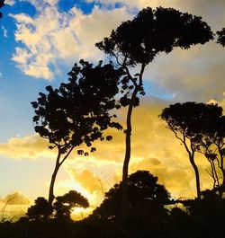 Silhouette of trees against cloudy sky