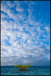 Scenic view of sea against cloudy sky