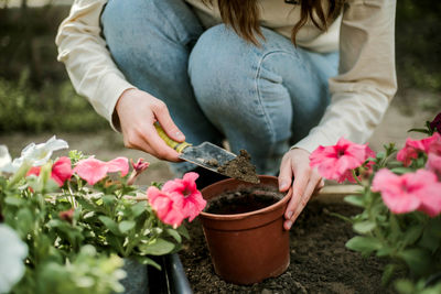 Midsection of woman holding flowers