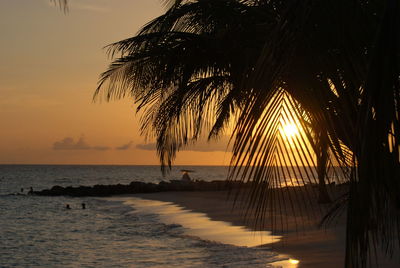 Silhouette palm trees on beach against sky during sunset