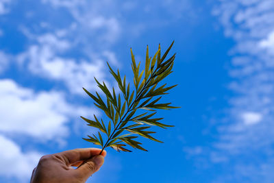 Low angle view of hand holding plant against blue sky