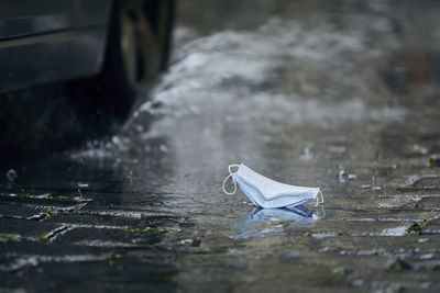 Surgical mask lying on wet street