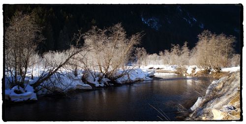 Scenic view of lake in forest during winter