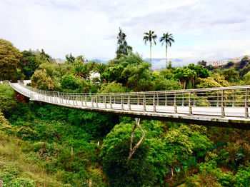 Bridge against trees and plants against sky