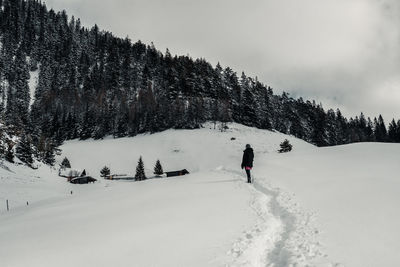 Man skiing on snow covered landscape