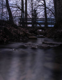 Bare trees by river