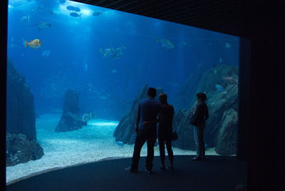 Rear view of people at aquarium