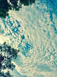 Low angle view of tree against sky
