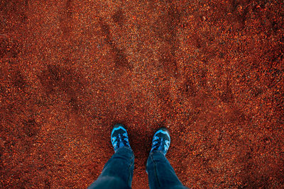 Low section of person standing on red sand