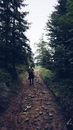 Rear view of people walking on footpath