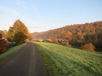Road amidst autumn trees against sky