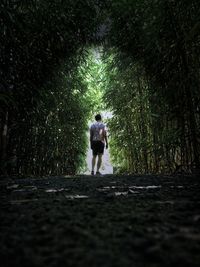 Rear view of man standing on footpath in forest