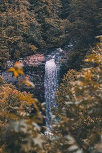 Scenic view of waterfall in forest during autumn