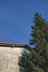 Low angle view of trees against clear blue sky