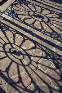 Shadow of tree on wall