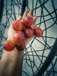 High angle view of strawberries