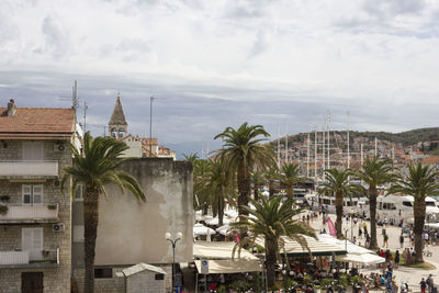 Palm trees and buildings in city