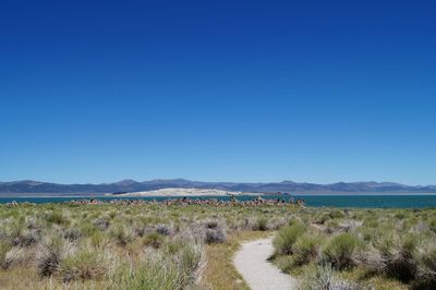 Scenic view of landscape against clear blue sky