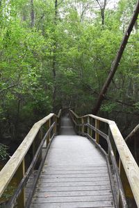 Wooden footbridge amidst trees in forest