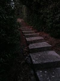 Footpath by stone wall