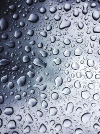 Close-up of water drops on leaf