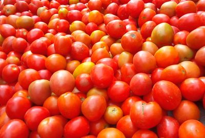 Full frame shot of tomatoes for sale