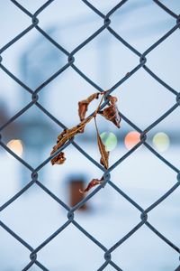 Close-up of chainlink fence against sky