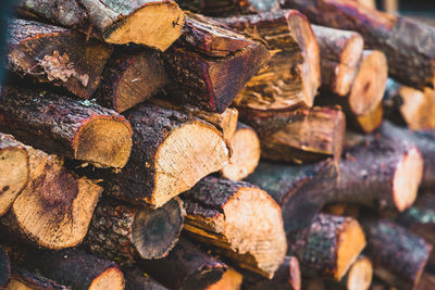 Full frame shot of logs in forest